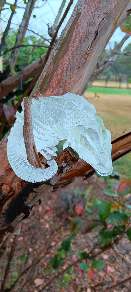 clear Blank Dragons