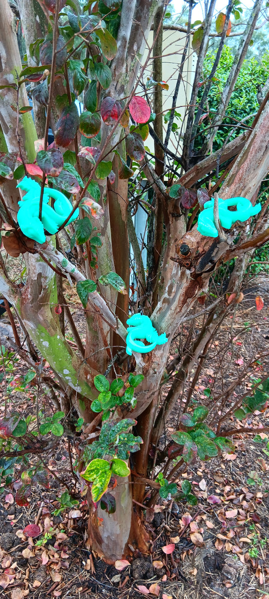 Turquoise blank dragons