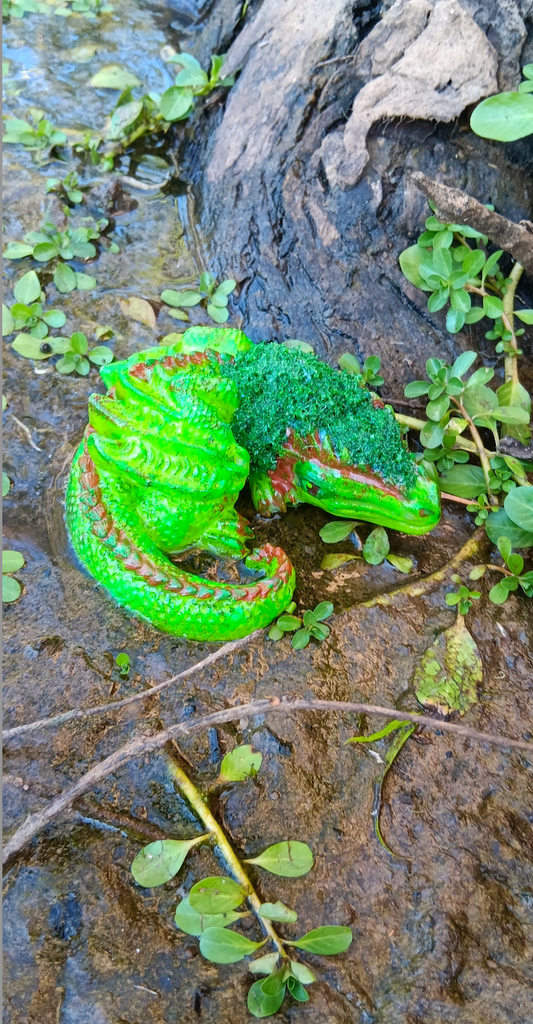 Moss Dragon🌱